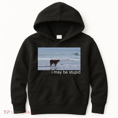 I May Be Stupid Funny Kids Hoodie