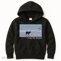 I May Be Stupid Funny Kids Hoodie thumb 0