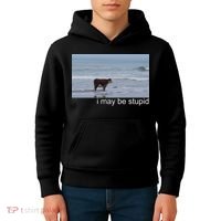 I May Be Stupid Funny Kids Hoodie thumb 4