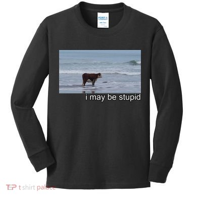 I May Be Stupid Funny Kids Long Sleeve Shirt