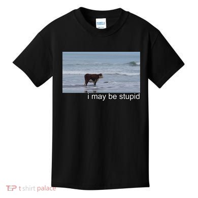 I May Be Stupid Funny Kids T-Shirt