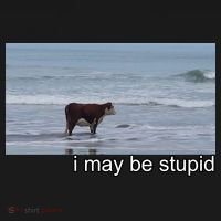 I May Be Stupid Funny Kids T-Shirt thumb 4