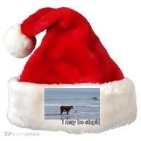 I May Be Stupid Funny Santa Hat thumb 0