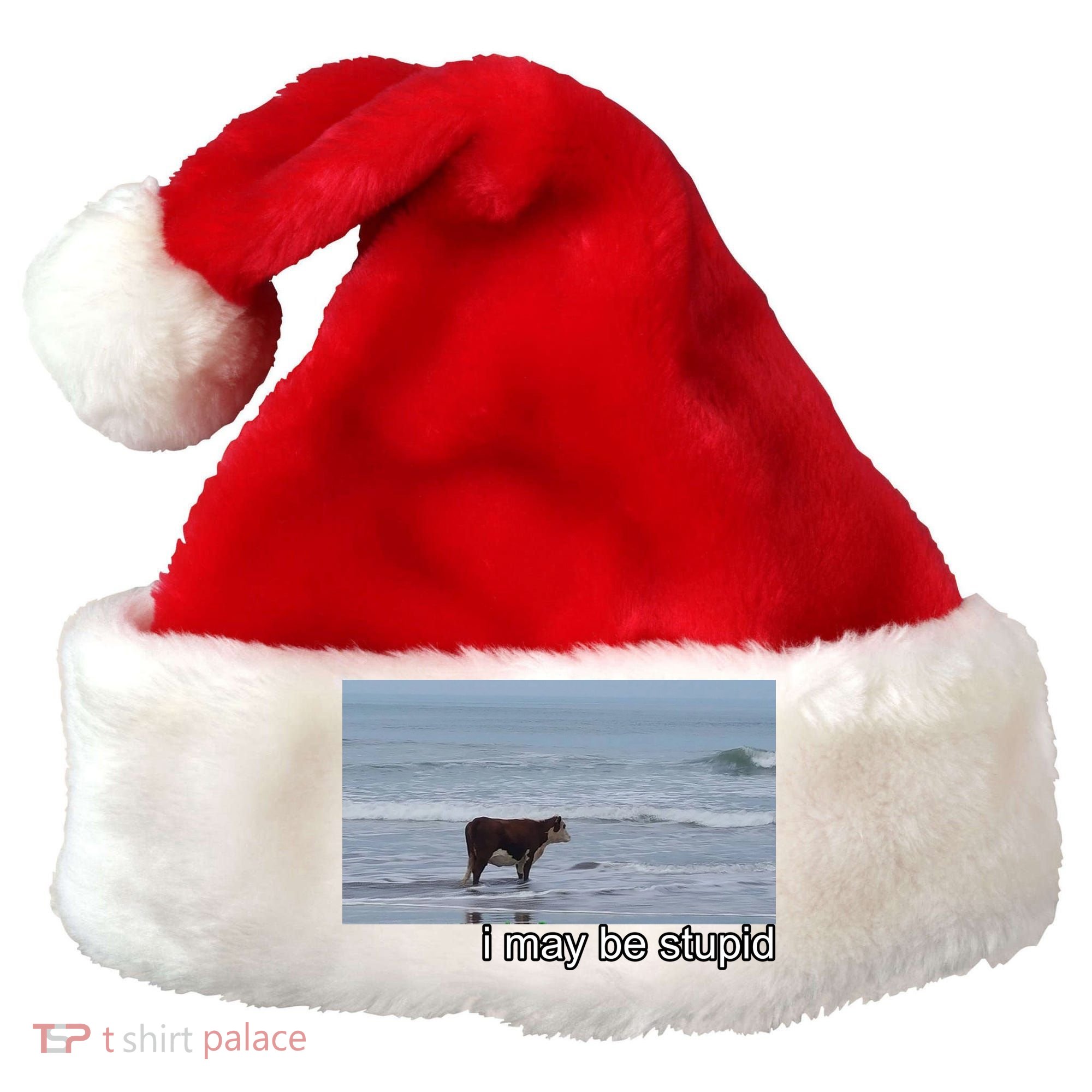 I May Be Stupid Funny Santa Hat