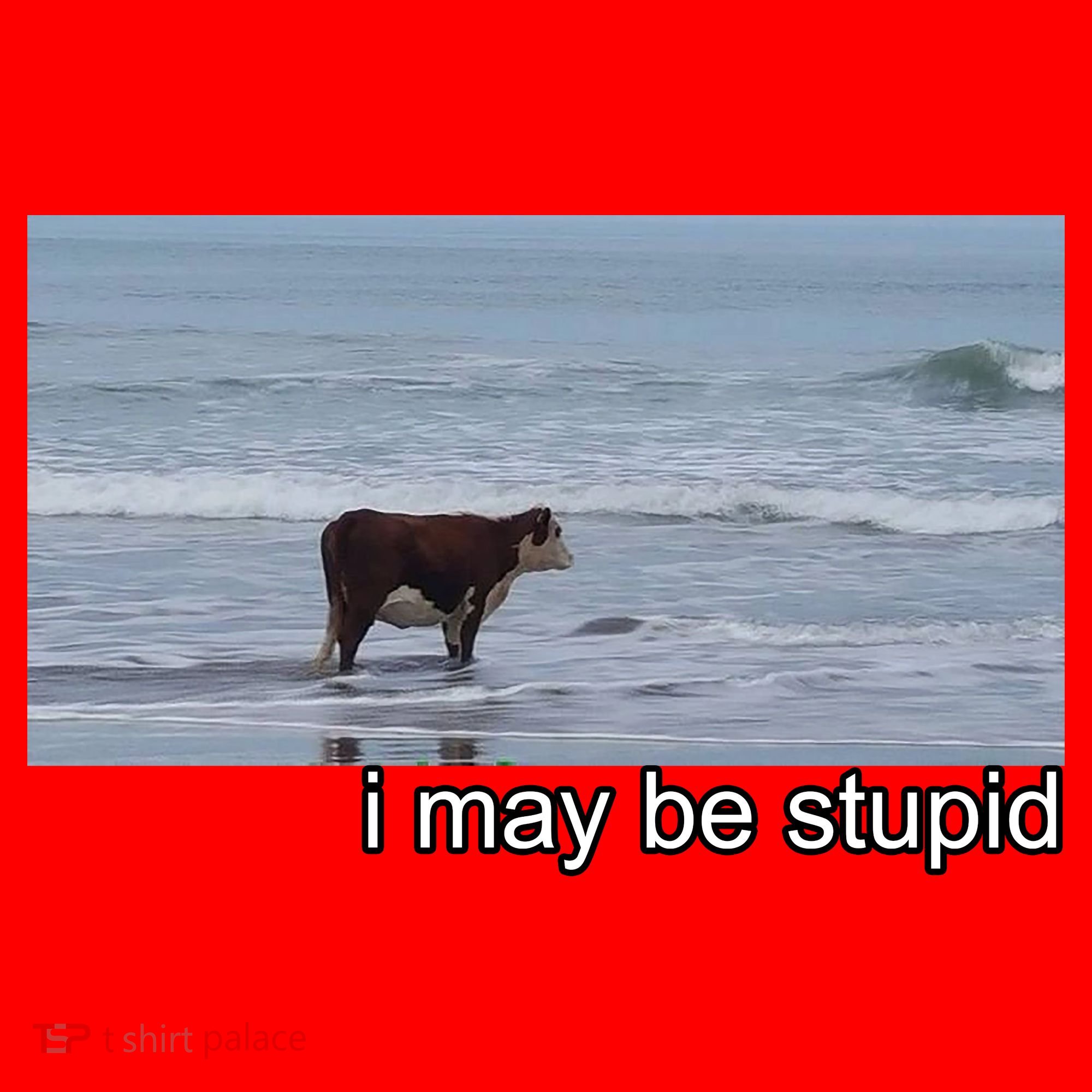 I May Be Stupid Funny Santa Hat