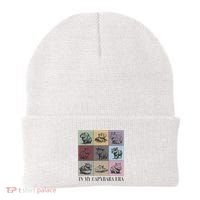 In My Capybara Era Capybara Lover Gift Beanie thumb 0