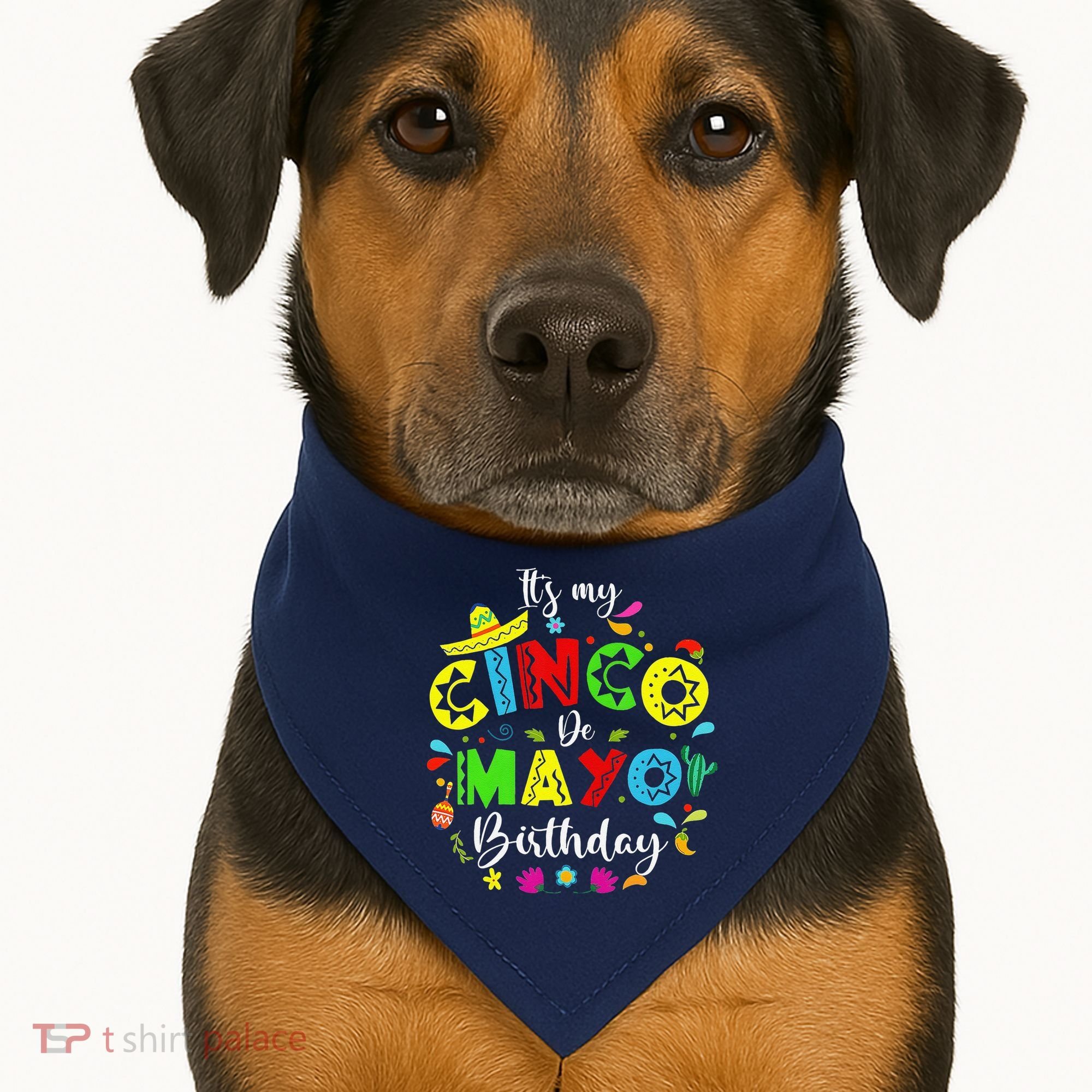 ItS My Cinco De Mayo Birthday Funny Cinco De Mayo Birthday USA-Made Doggie Bandana