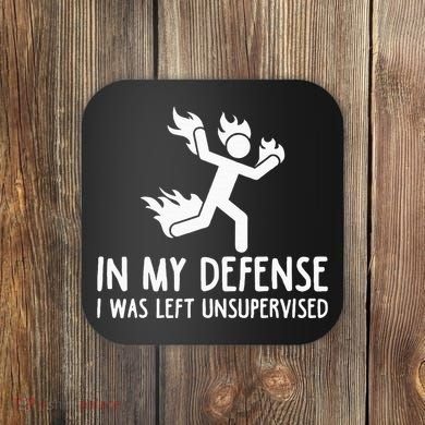 In My Defense I Was Left Unsupervised Coaster
