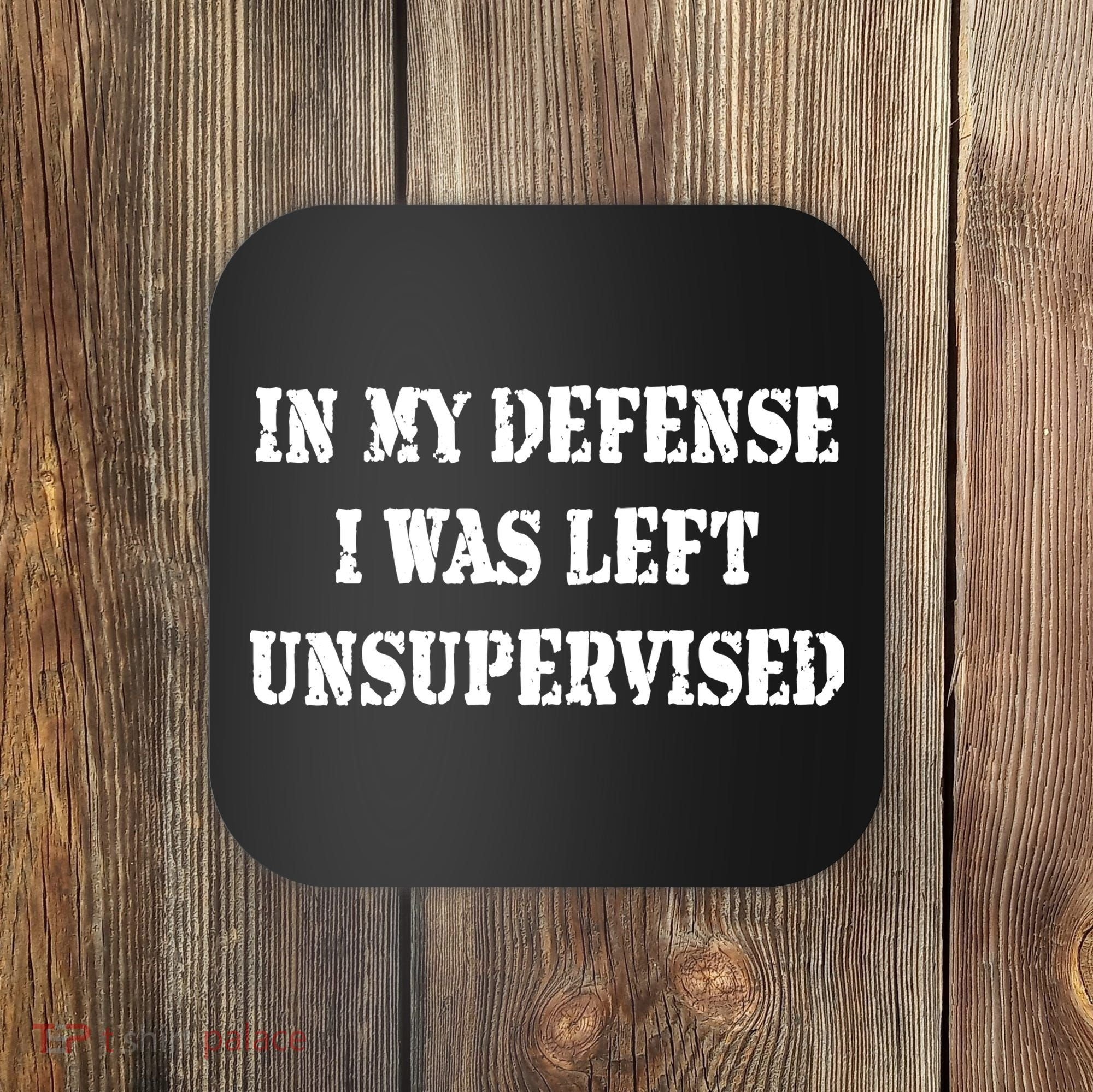 In My Defense I Was Left Unsupervised Coaster