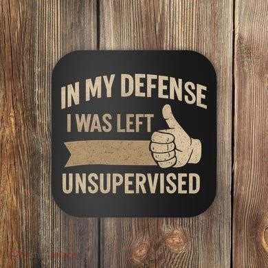 In My Defense I Was Left Unsupervised Coaster