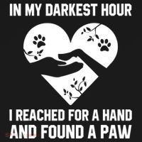 In My Darkest Hour I Reached For A Hand Found A Paw Gift Women's Hoodie thumb 2