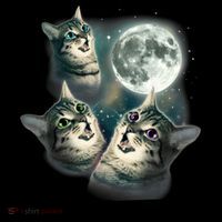 In My Feral Era Cat Coffee Mug thumb 5