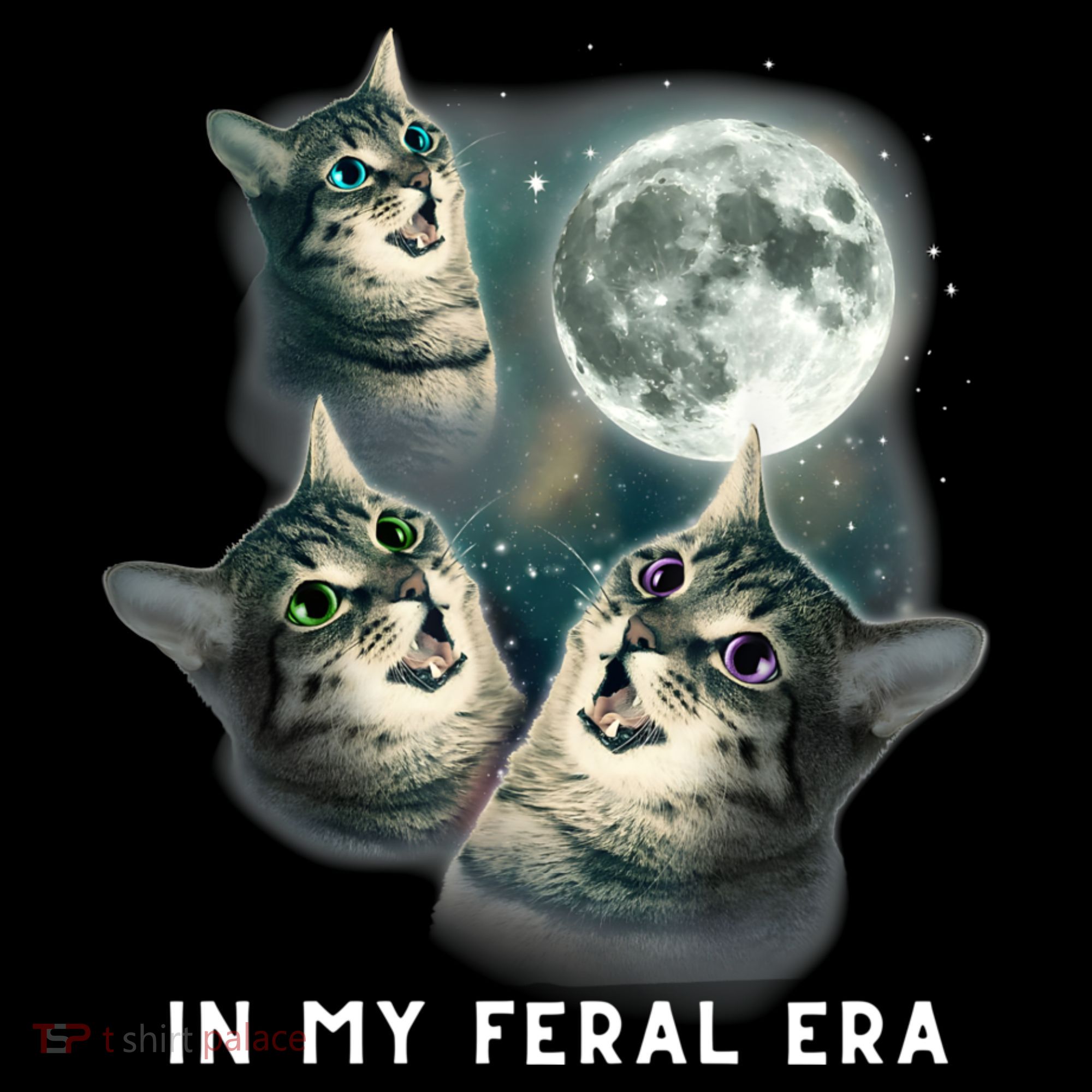 In My Feral Era Cat Women's Hoodie