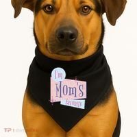 I'm Mom's Favorite Retro USA-Made Doggie Bandana thumb 1