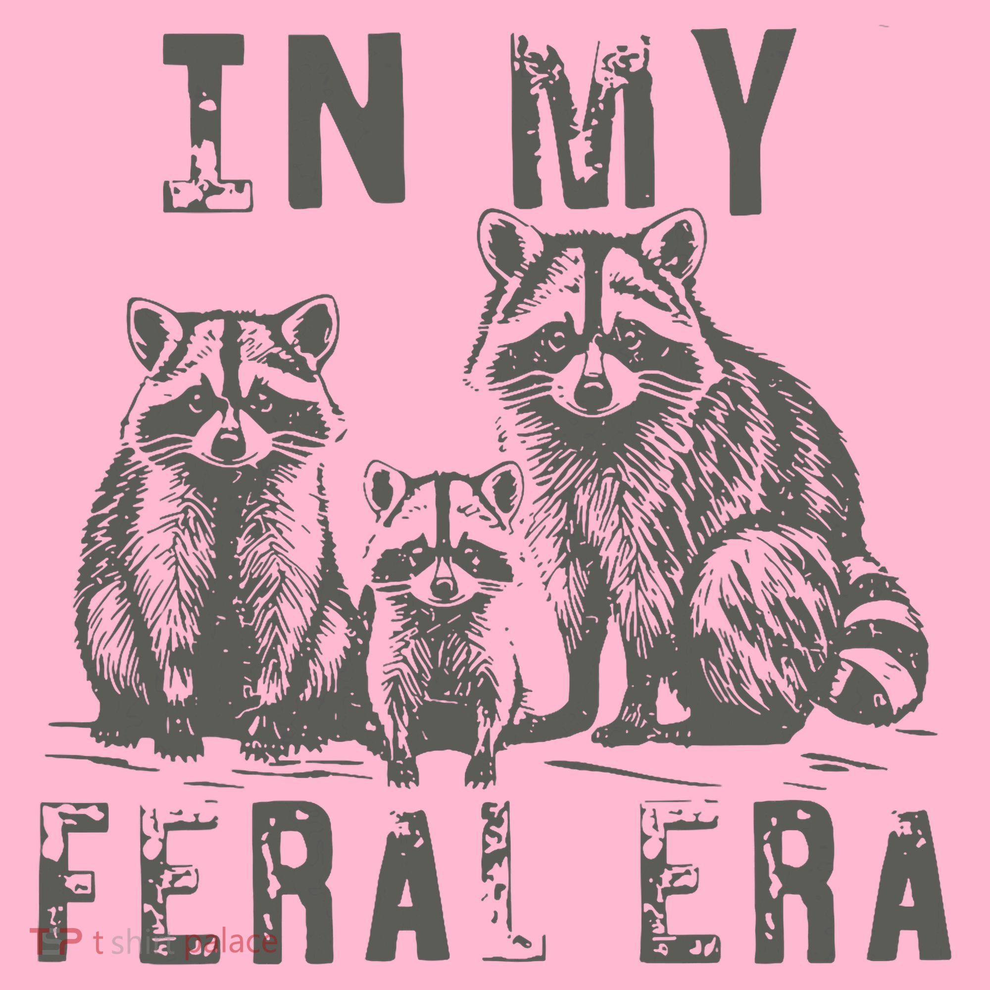 In My Feral Era Racoons Meme Coaster