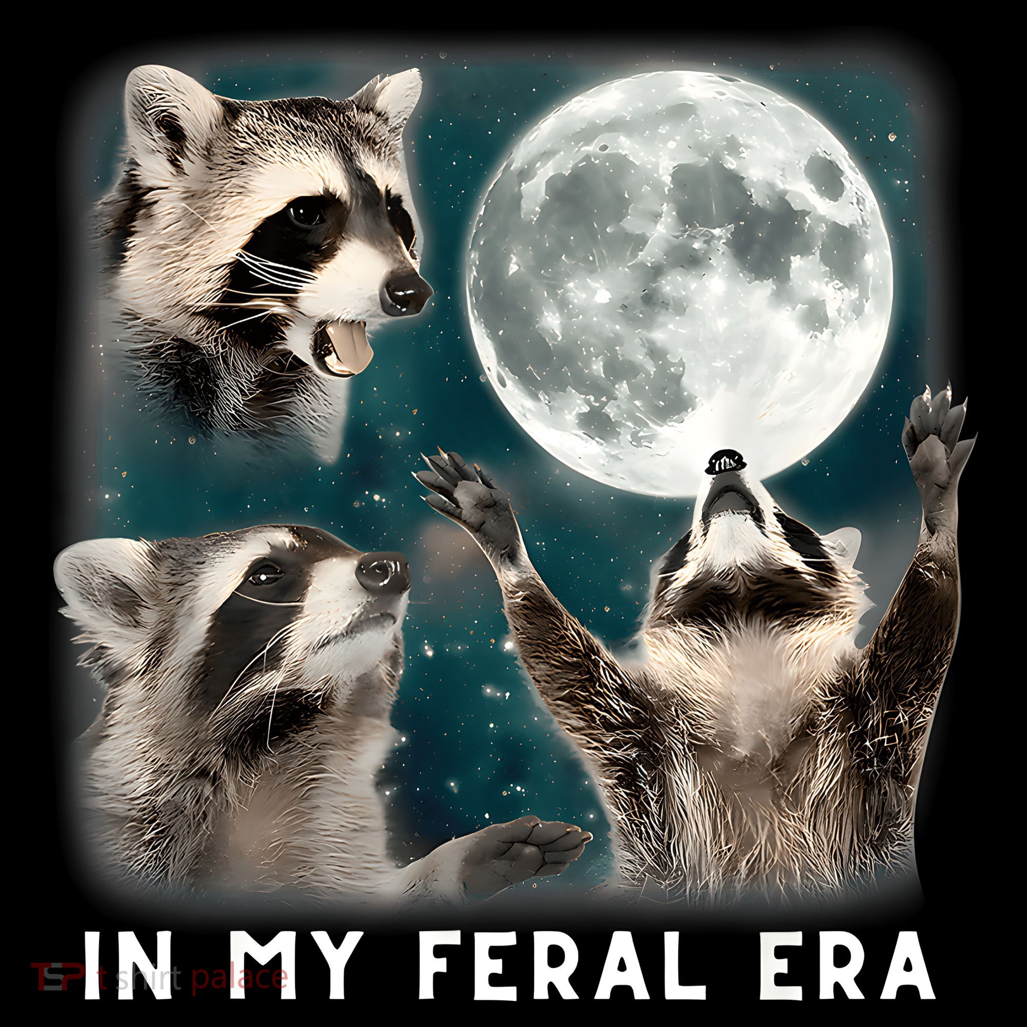 In My Feral Era Raccoon Women's Hoodie