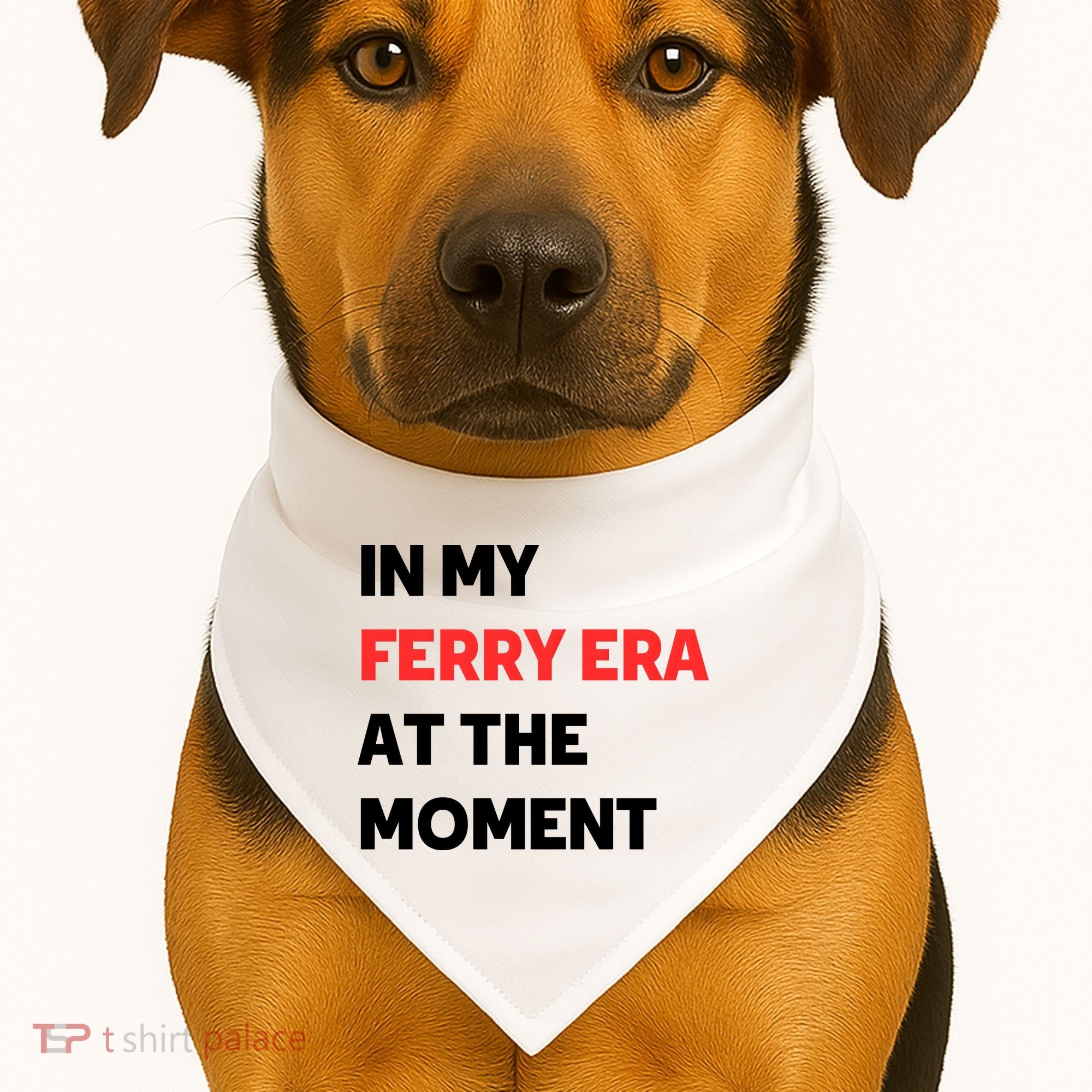 In My Ferry Era At The Moment USA-Made Doggie Bandana