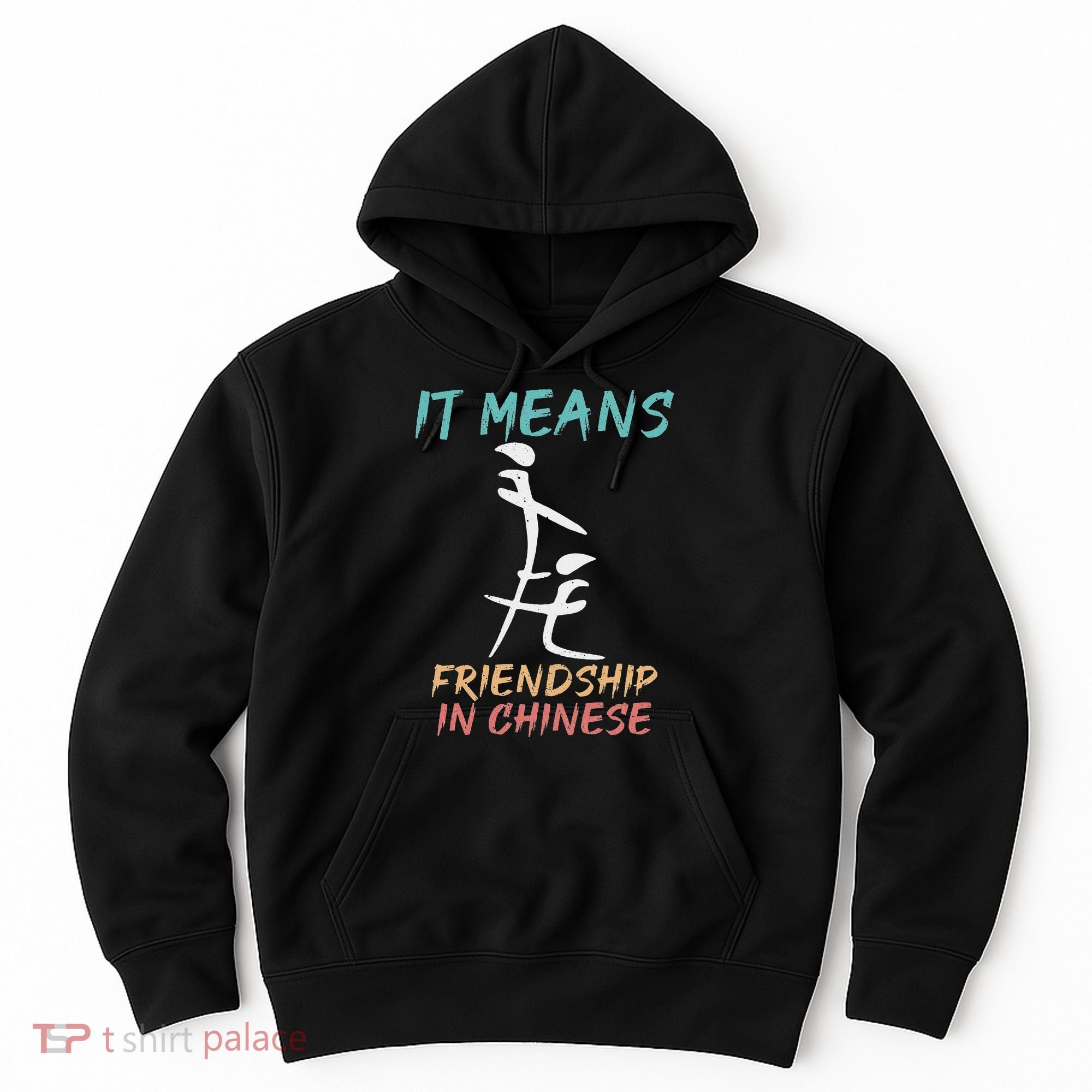 It Means Friendship In Chinese Funny Sarcasm Hoodie