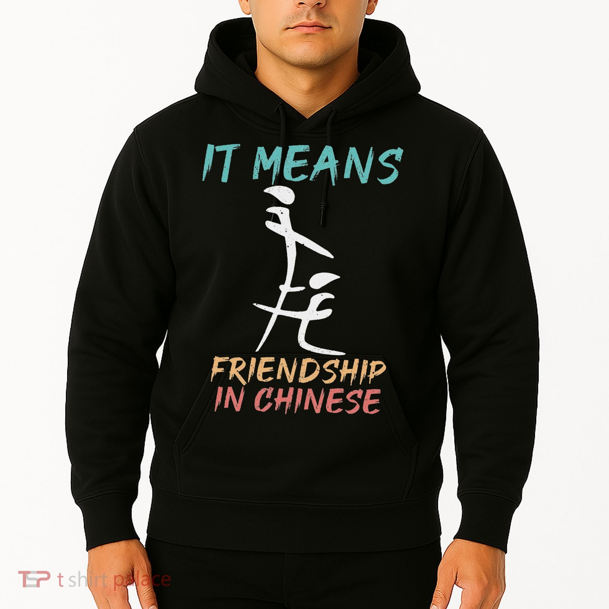 It Means Friendship In Chinese Funny Sarcasm Hoodie