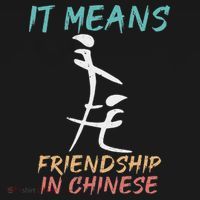 It Means Friendship In Chinese Funny Sarcasm Hoodie thumb 7