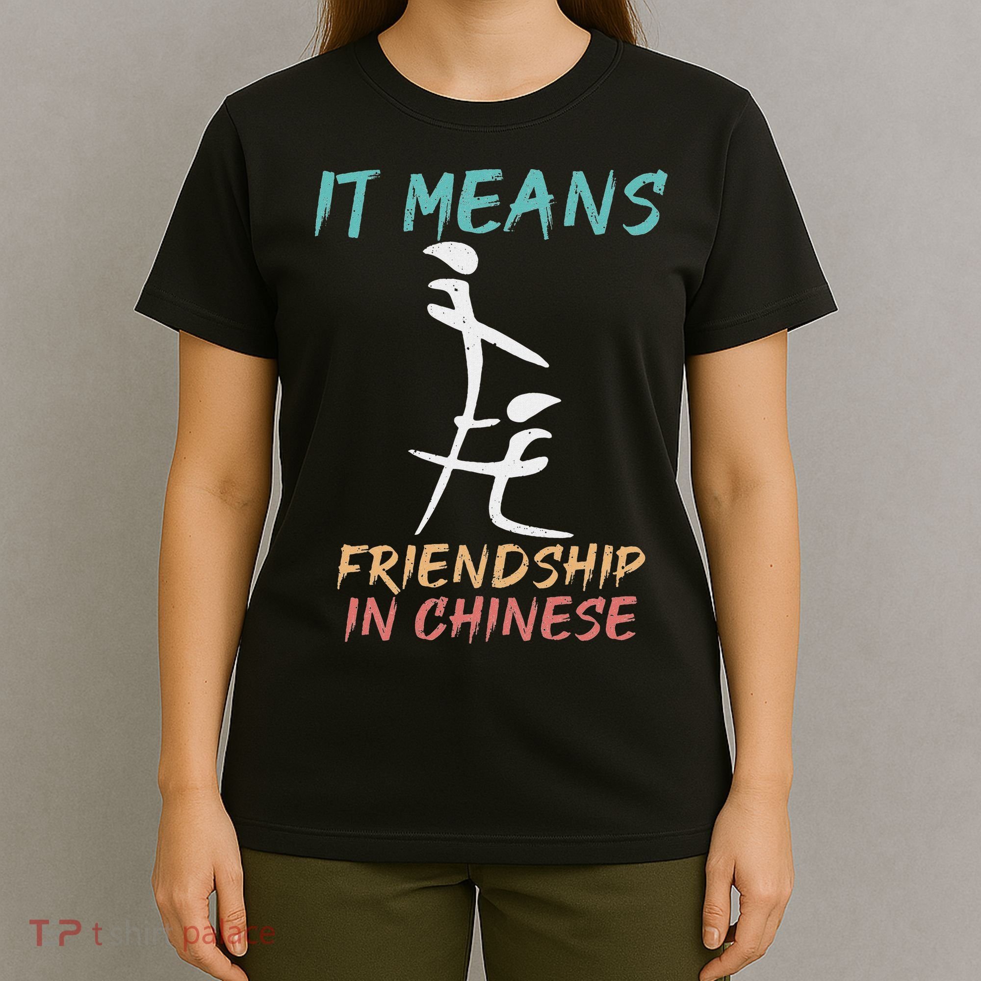 It Means Friendship In Chinese Funny Sarcasm T-Shirt