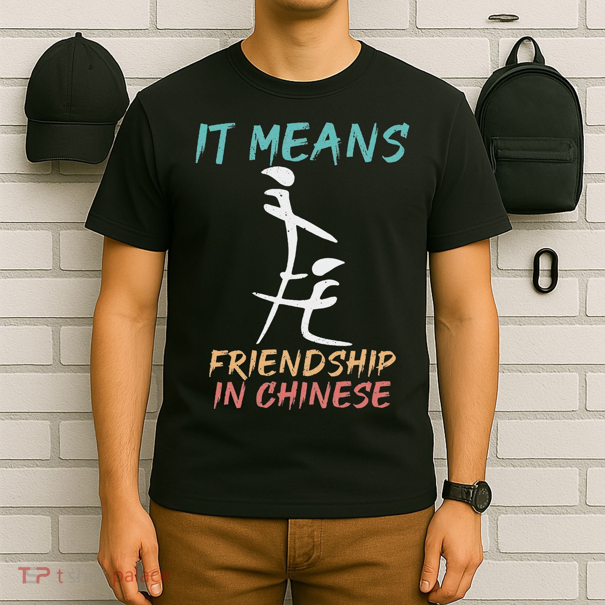 It Means Friendship In Chinese Funny Sarcasm T-Shirt