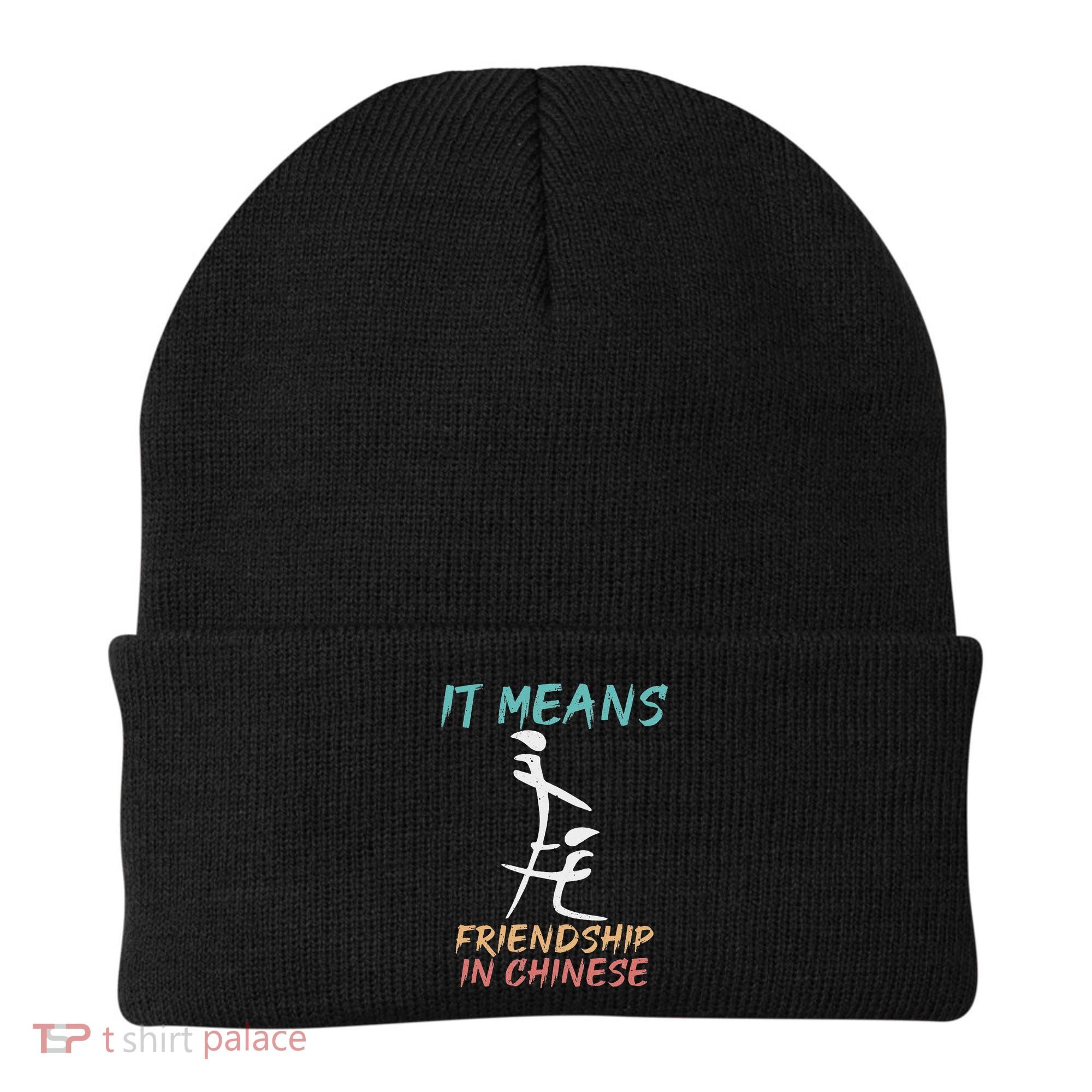 It Means Friendship In Chinese Funny Sarcasm Beanie