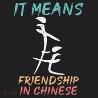 It Means Friendship In Chinese Funny Sarcasm Beanie thumb 2