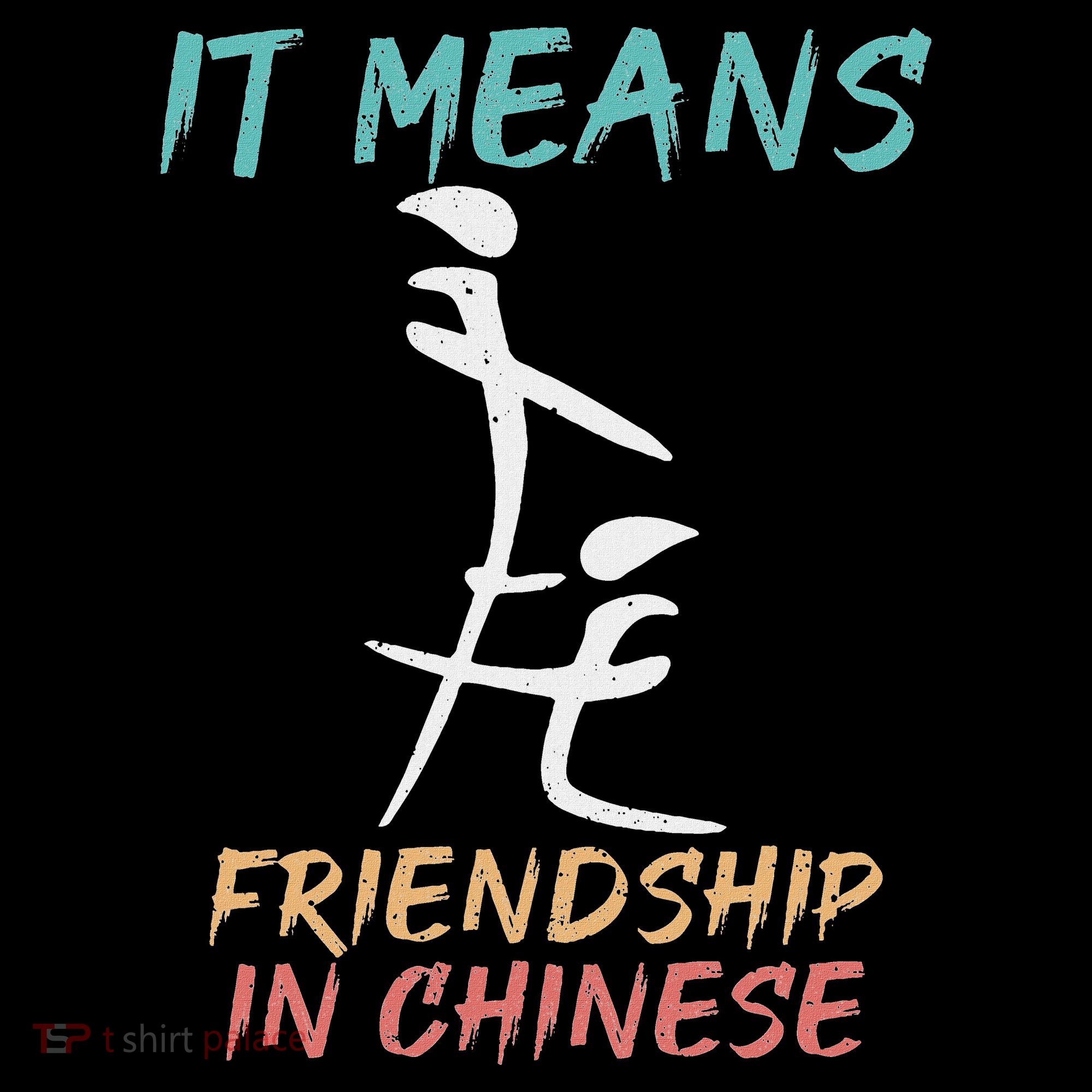 It Means Friendship In Chinese Funny Sarcasm Women's Hoodie