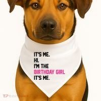 Its Me Hi Im The Brithday Girl Its Me Funny Gift USA-Made Doggie Bandana thumb 1