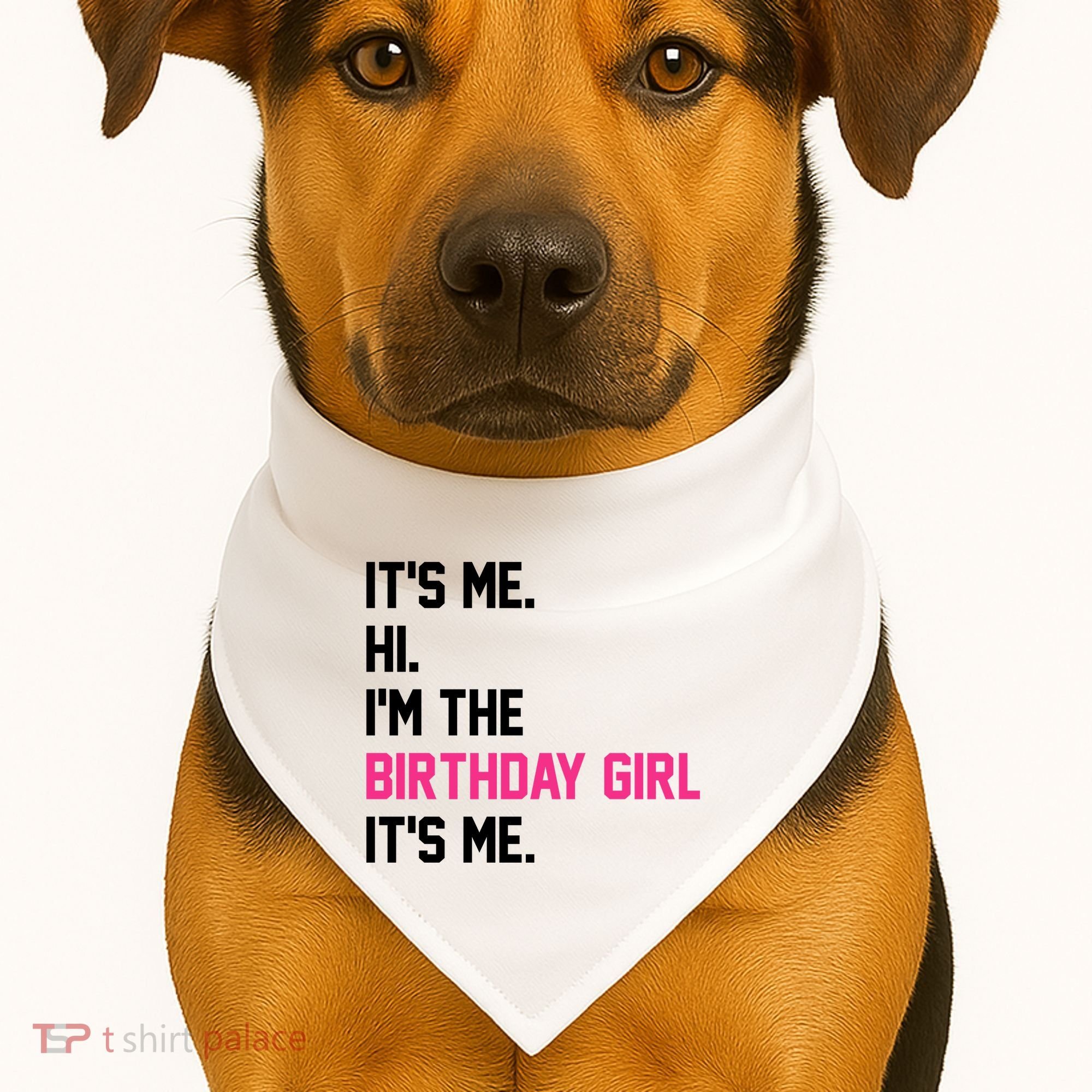 Its Me Hi Im The Brithday Girl Its Me Funny Gift USA-Made Doggie Bandana