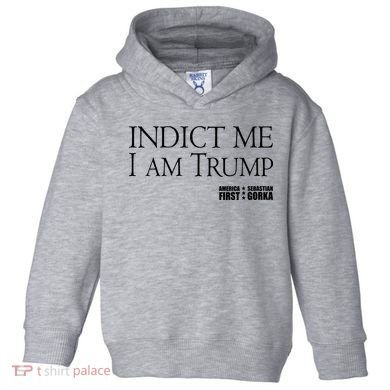 Indict Me I Am Trump America First Toddler Hoodie