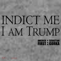 Indict Me I Am Trump America First Kids T-Shirt thumb 4