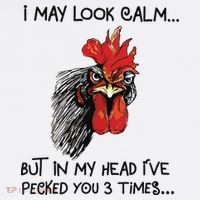 I May Look Calm Chicken Funny Rooster Tee Bucket Hat thumb 4