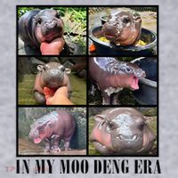 In My Moo Deng Era  Moo Deng Lover Women's Sweatshirt thumb 2