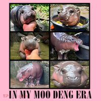 In My Moo Deng Era  Moo Deng Lover Coaster thumb 2