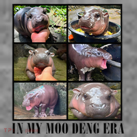 In My Moo Deng Era  Moo Deng Lover Toddler Hoodie thumb 2