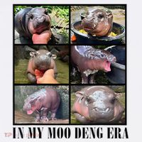 In My Moo Deng Era  Moo Deng Lover Ornament thumb 1