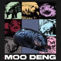 In My Moo Deng Era Funny Cute Baby Hippo Ornament thumb 1