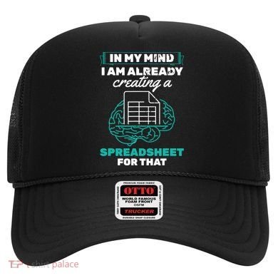 In My Mind Creating Spreadsheet Accountant Spreadsheet Hat