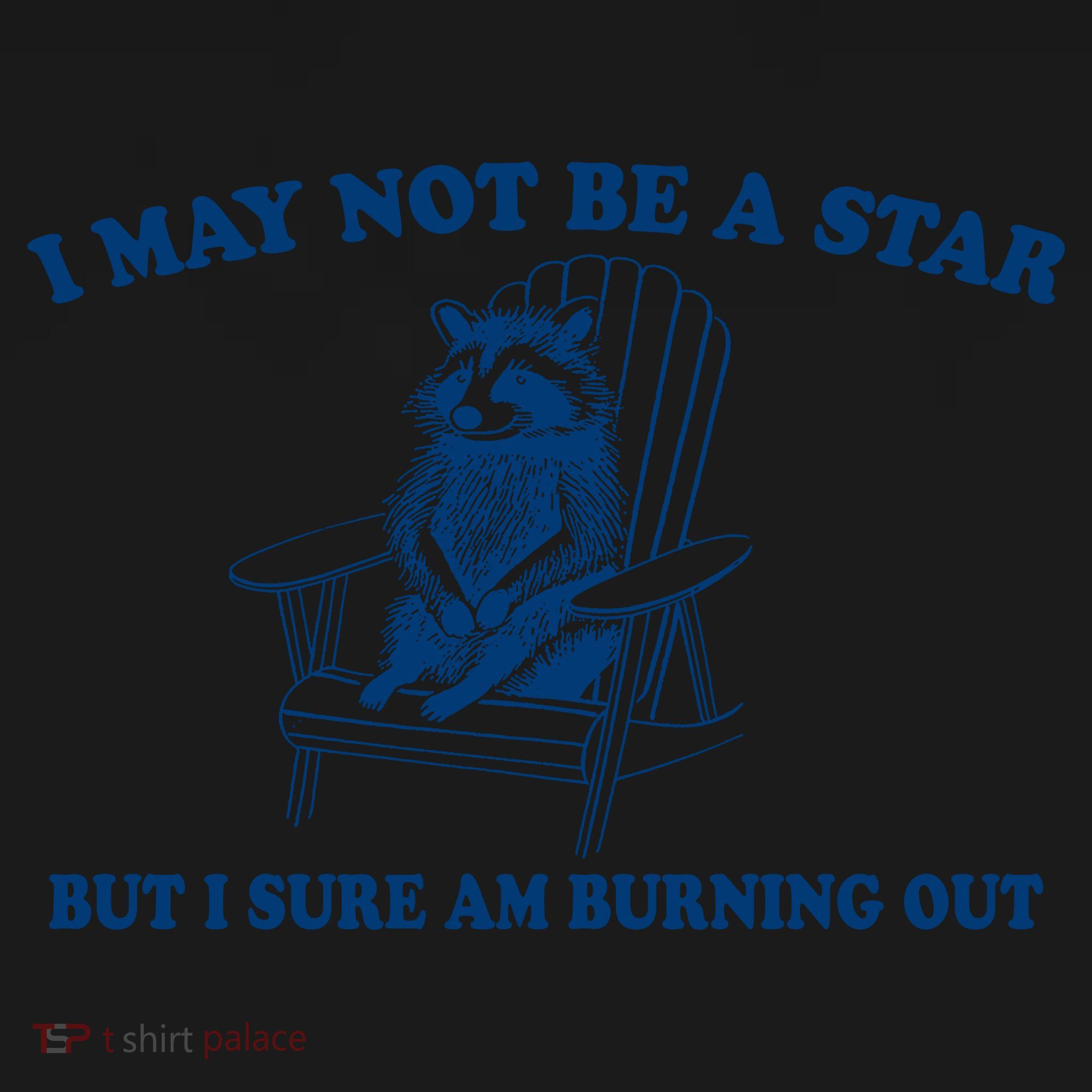 I May Not Be A Star Raccoon Meme – Funny Trash Panda Self-Deprecating Toddler Hoodie