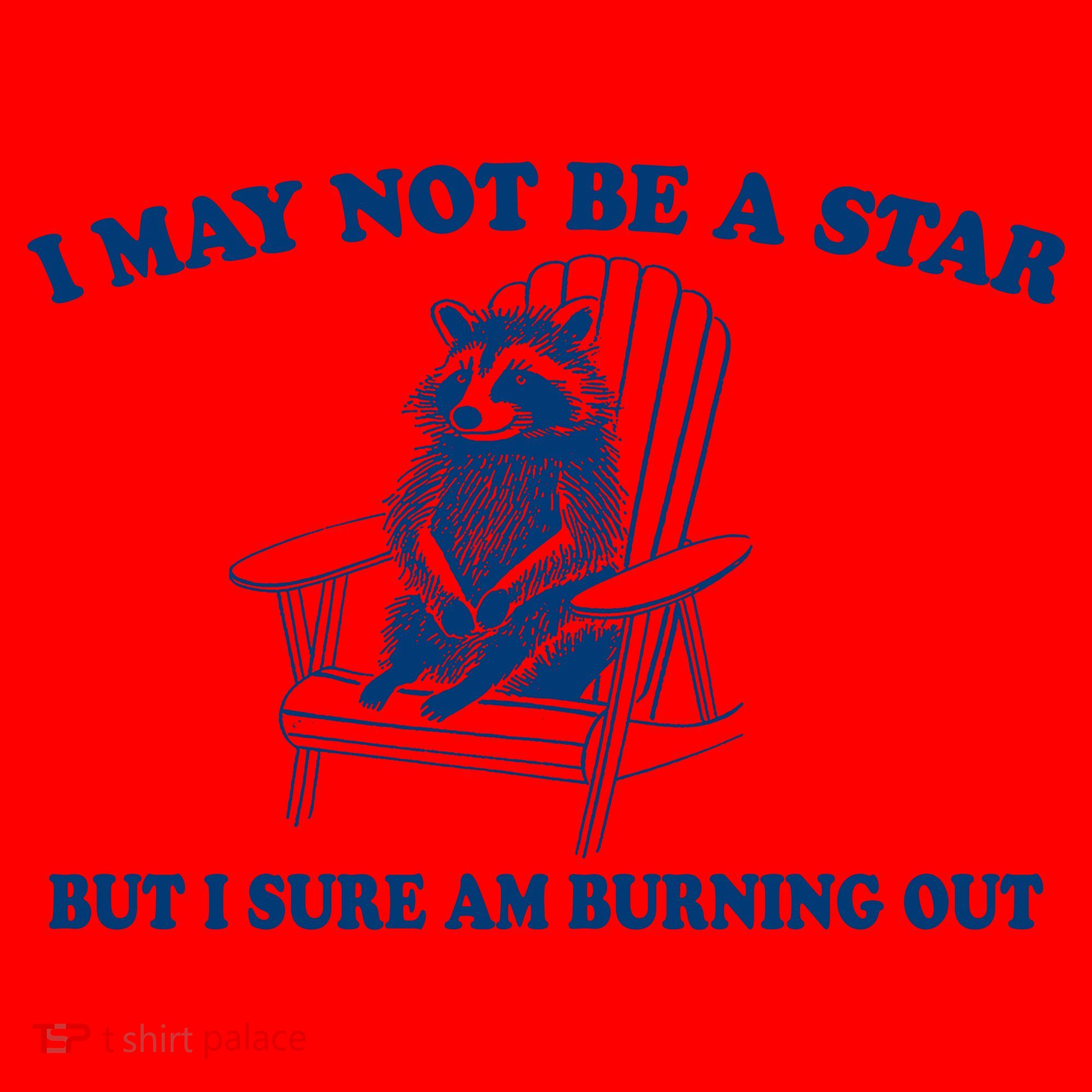 I May Not Be A Star Raccoon Meme – Funny Trash Panda Self-Deprecating Santa Hat