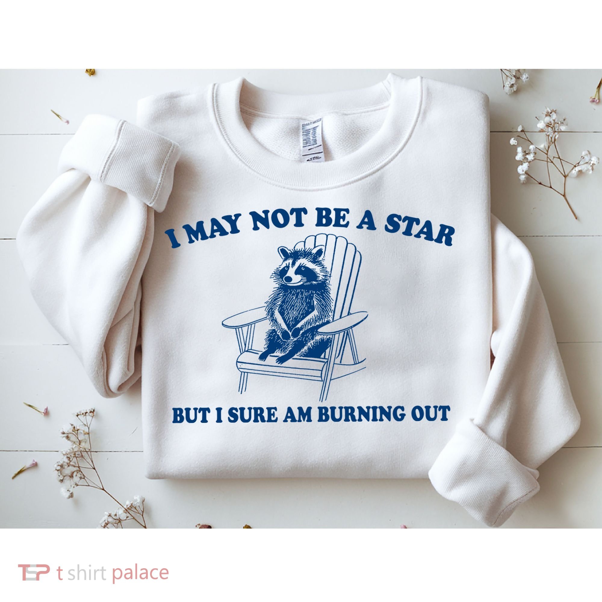 I May Not Be A Star Raccoon Meme – Funny Trash Panda Self-Deprecating Sweatshirt