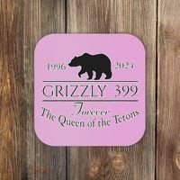 In Memory Of Bear 399 Forever Queen Of The Tetons Coaster thumb 0