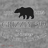 In Memory Of Bear 399 Forever Queen Of The Tetons Women's Hoodie thumb 2
