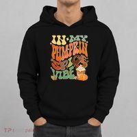 In My Pumpkin Spice Vibe Halloween Thanksgiving Fall Harvest Hoodie thumb 0