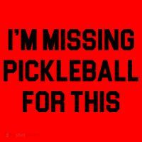 I'm Missing Pickleball For This Santa Hat thumb 1