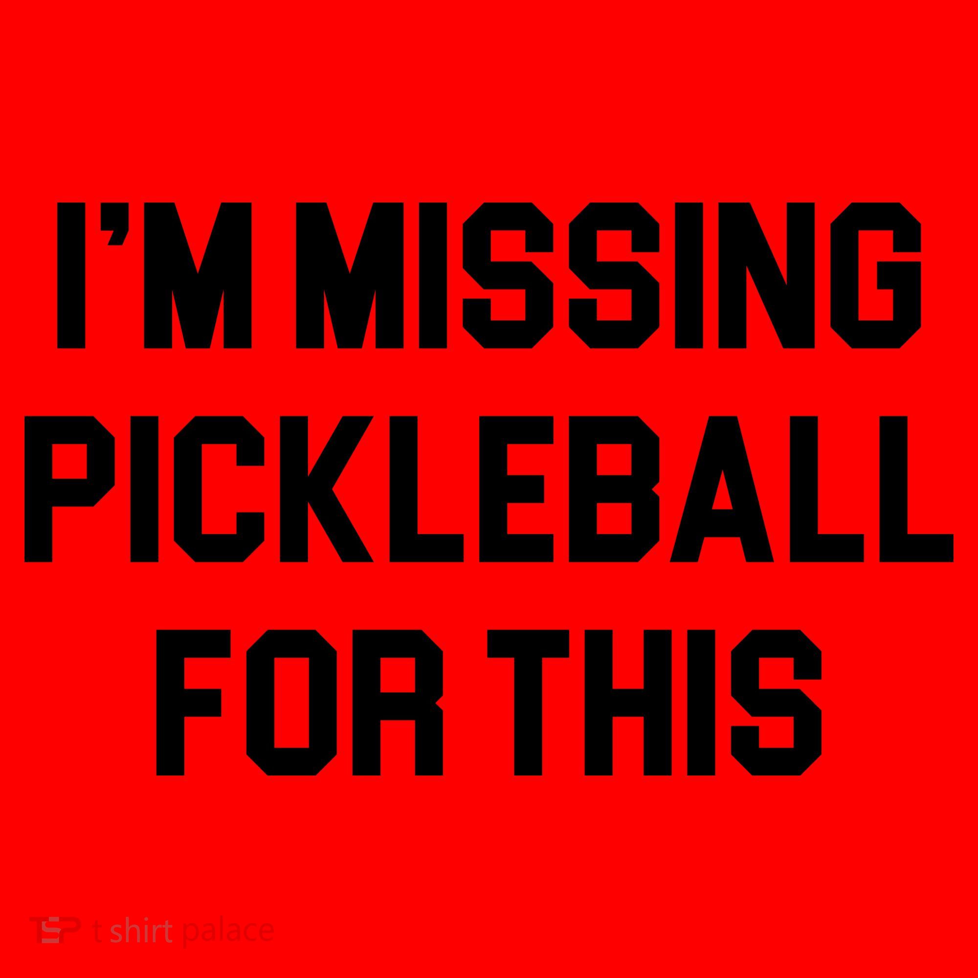 I'm Missing Pickleball For This Santa Hat
