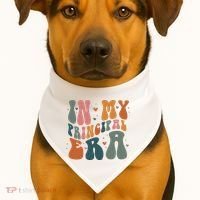 In My Principal Era Retro Back To School Teacher Life USA-Made Doggie Bandana thumb 1