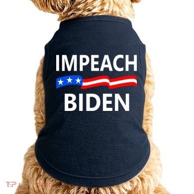 Impeach Joe Biden Remove From Office Doggie Tank